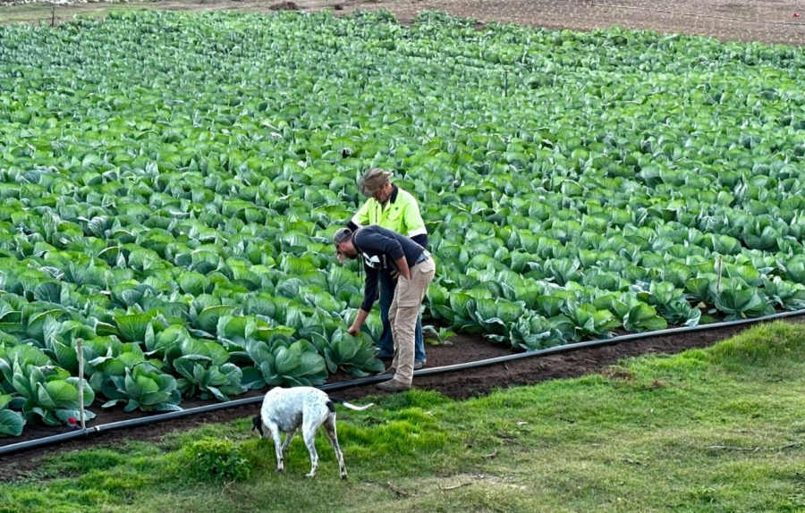 4 Bedroom Property for Sale in Gouritsmond Rural Western Cape